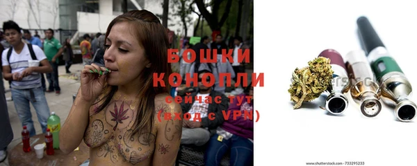 сатива Абдулино