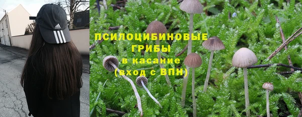 a pvp Абаза