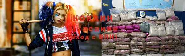 гашик Абинск