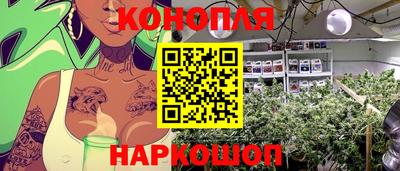 mdpv Усть-Илимск