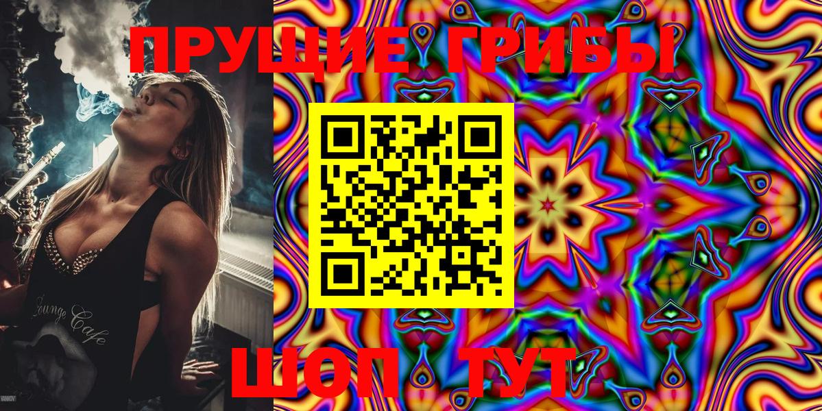 Галлюциногенные грибы GOLDEN TEACHER  Вход с VPN  Новокузнецк  Псилоцибиновые грибы Magic Shrooms 