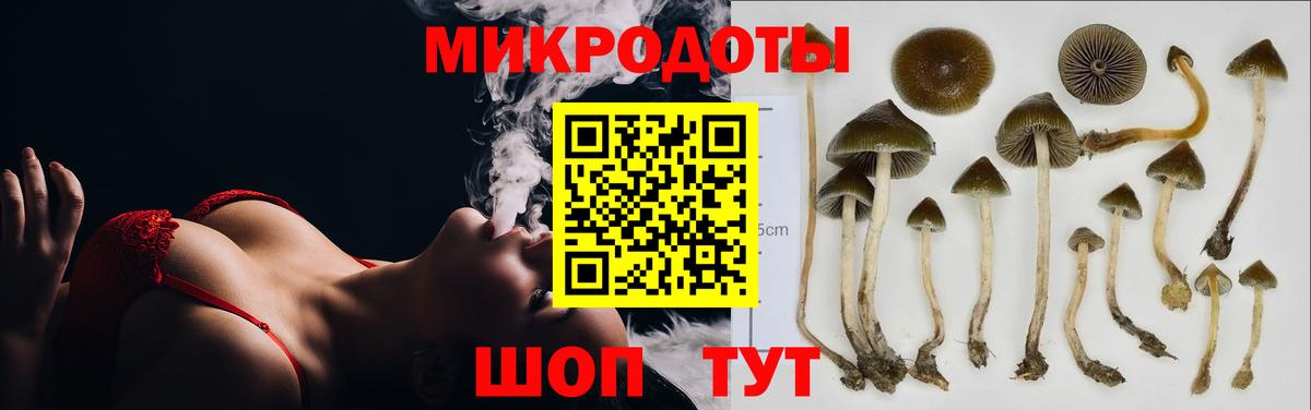Галлюциногенные грибы MAGIC MUSHROOMS Новокузнецк
